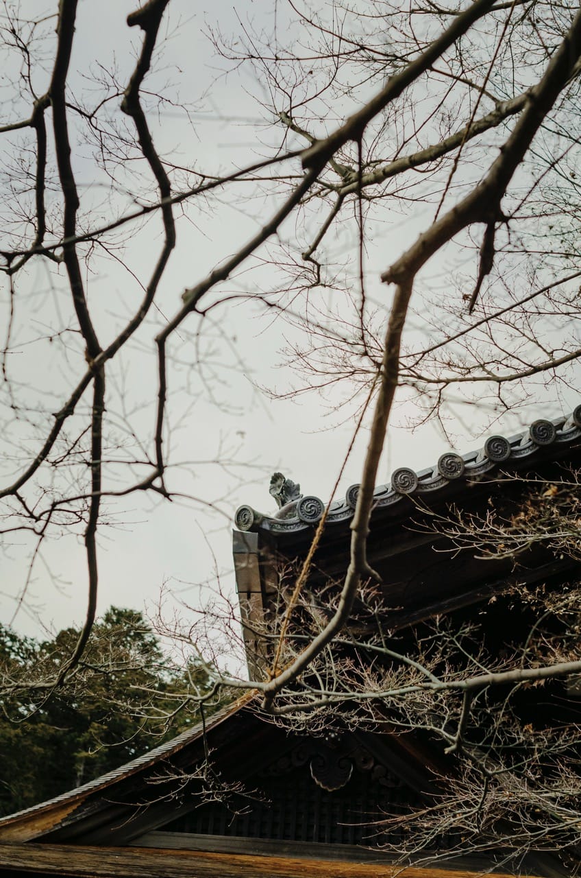 Превью Nara 2024